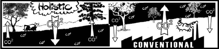 Organic carbon sequestration - Permaculture Consultancy